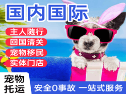 阿拉尔塔里木机场快递国际宠物托运 【国
